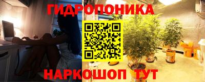 твердый Новокубанск