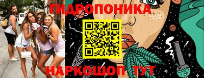 гашиш Новодвинск