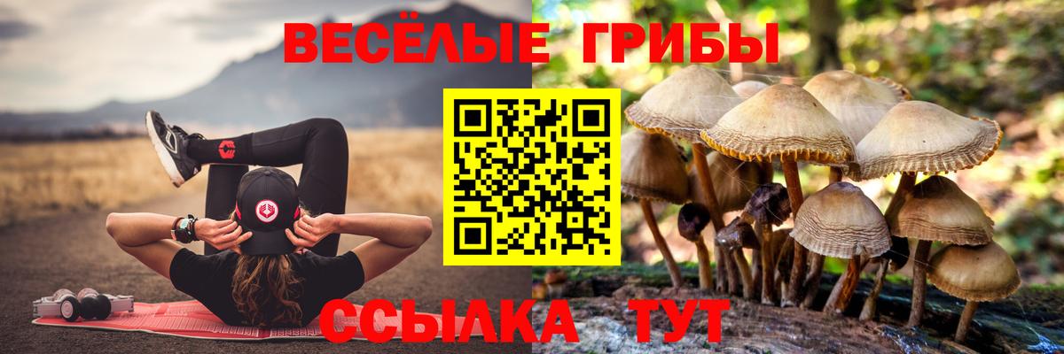 Галлюциногенные грибы Psilocybe  Вход с VPN  магазин    Хасавюрт 